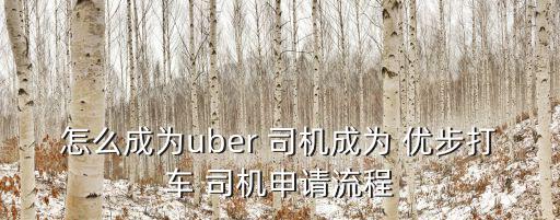 怎么成為uber 司機(jī)成為 優(yōu)步打車 司機(jī)申請流程
