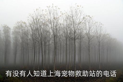 流浪貓救助中心電話，麗江有流浪小動物救助站嗎