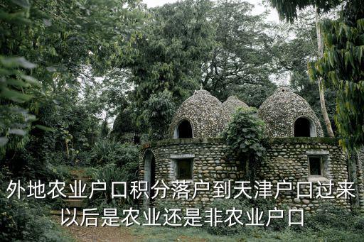外地農(nóng)業(yè)戶口積分落戶到天津戶口過來以后是農(nóng)業(yè)還是非農(nóng)業(yè)戶口