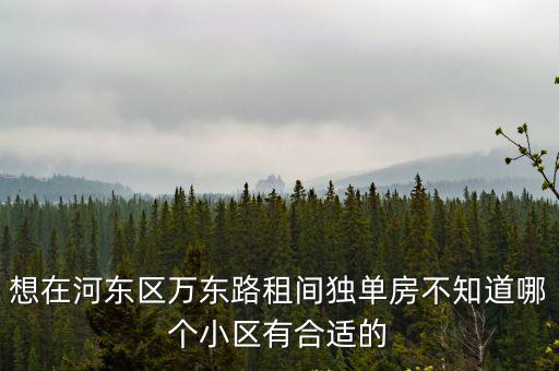 想在河?xùn)|區(qū)萬(wàn)東路租間獨(dú)單房不知道哪個(gè)小區(qū)有合適的