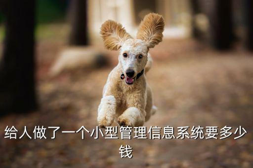 給人做了一個小型管理信息系統要多少錢