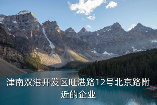 天津市雙港設備有限公司，天津市津南區雙港鎮有什么電子公司