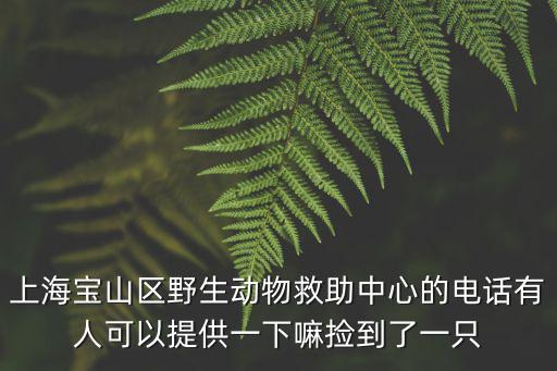 上海寶山區(qū)野生動物救助中心的電話有人可以提供一下嘛撿到了一只
