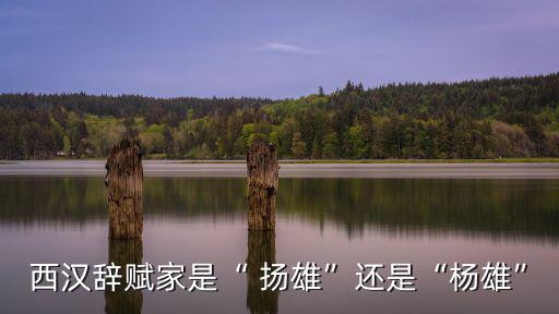 西漢辭賦家是“ 揚雄”還是“楊雄”