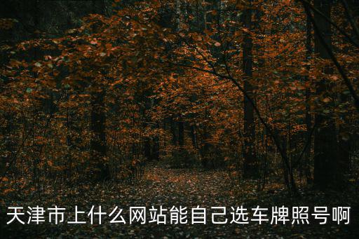 天津市小客車選牌照號官網，天津市上什么網站能自己選車牌照號啊