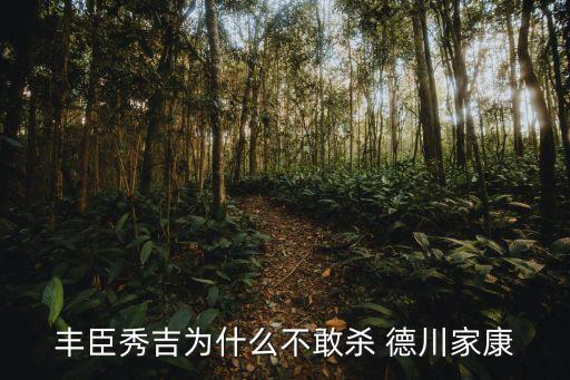 豐臣秀吉為什么不敢殺 德川家康