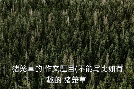 豬籠草的作文,3年級作文有趣豬籠草:捉蟲秘訣在于葉子