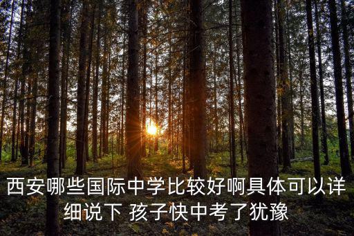 西安國際學校排名一覽表最新，西安有哪些國際學校