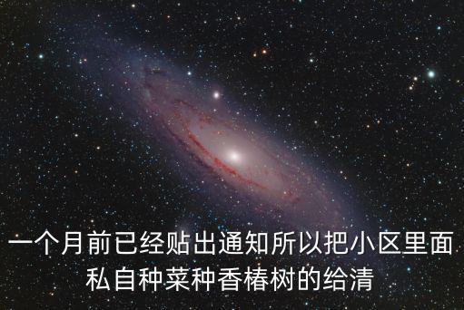 一個月前已經(jīng)貼出通知所以把小區(qū)里面私自種菜種香椿樹的給清