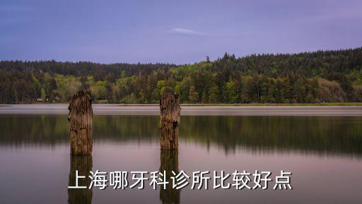 上海哪牙科診所比較好點