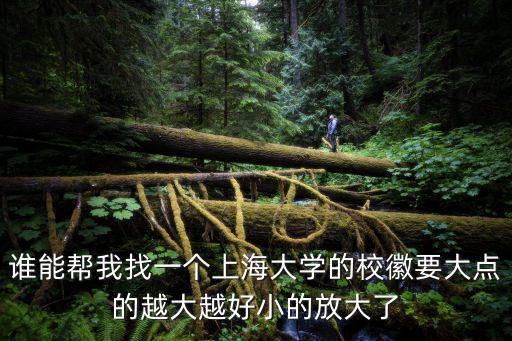 誰能幫我找一個上海大學的校徽要大點的越大越好小的放大了