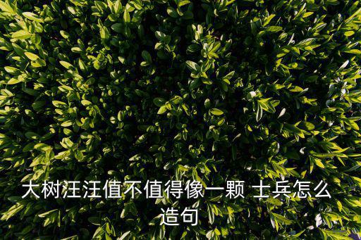 士兵造句,這些軍隊是怎么一回事?