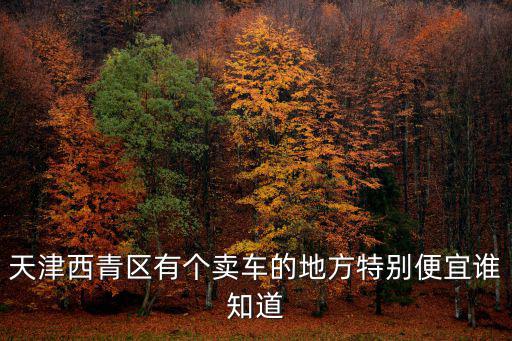 天津西青區(qū)有個(gè)賣車的地方特別便宜誰(shuí)知道
