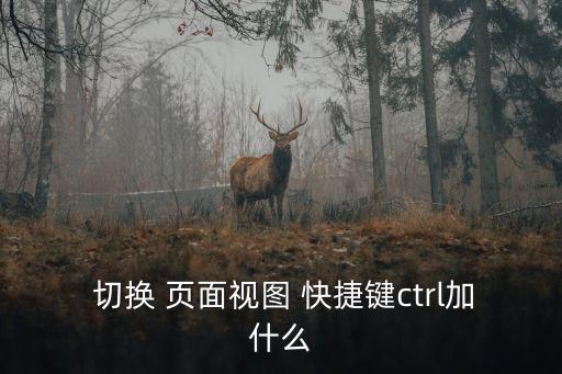  切換 頁面視圖 快捷鍵ctrl加什么