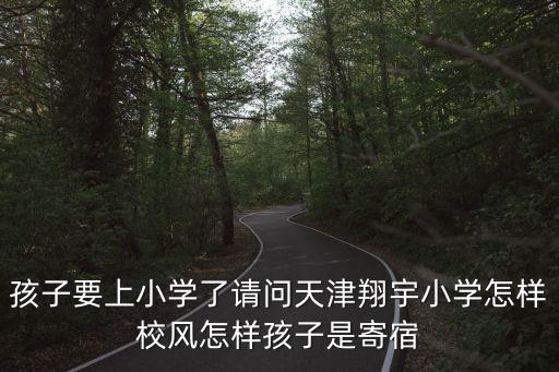 孩子要上小學(xué)了請問天津翔宇小學(xué)怎樣校風怎樣孩子是寄宿