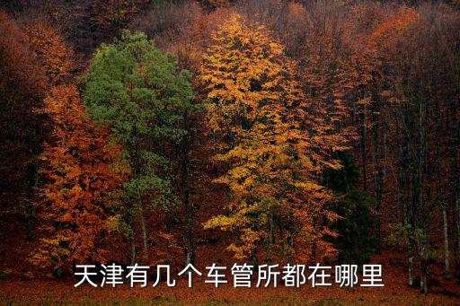 天津有幾個車管所都在哪里