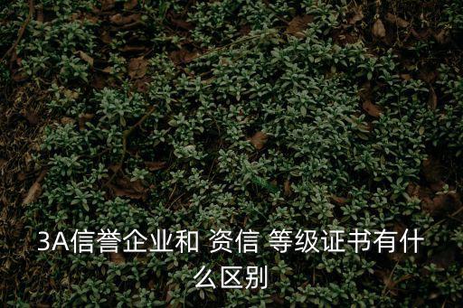 3A信譽企業和 資信 等級證書有什么區別