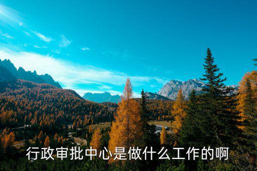 行政審批中心是做什么工作的啊