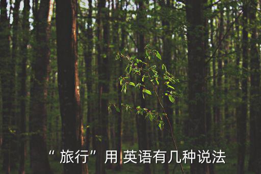 “ 旅行”用 英語有幾種說法