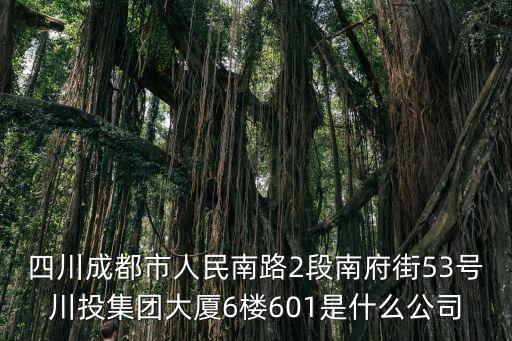 成都市藍(lán)鳳日化有限公司，四川成都市人民南路2段南府街53號(hào)川投集團(tuán)大廈6樓601是什么公司