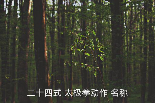 24式太極拳名稱,24式太極拳●第一集:上升式和劈腿式