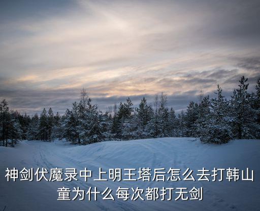 神劍伏魔錄中上明王塔后怎么去打韓山童為什么每次都打無劍