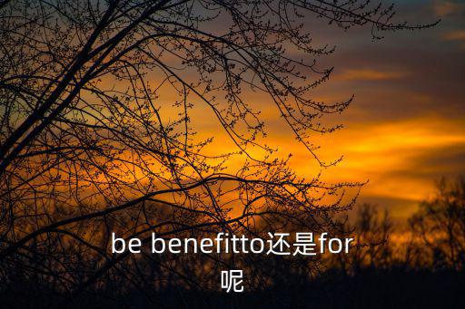 benefit的用法,不及物動(dòng)詞表示什么意思?