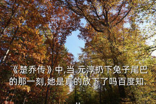 元淳公主,命運輪轉:西魏公主元淳的愛情故事