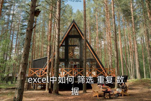  excel中如何 篩選 重復(fù) 數(shù)據(jù)