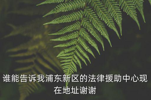 誰能告訴我浦東新區的法律援助中心現在地址謝謝