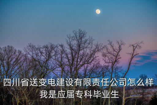 四川省成都市送變電建設有限公司招聘，四川送變電建設有限公司業績和員工待遇怎樣