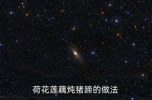 荷花蓮藕燉豬蹄的做法