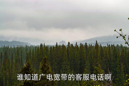 廣電網(wǎng)絡(luò)24小時(shí)服務(wù)熱線，廣播電視網(wǎng)絡(luò)斷開(kāi)該打什么電話報(bào)修
