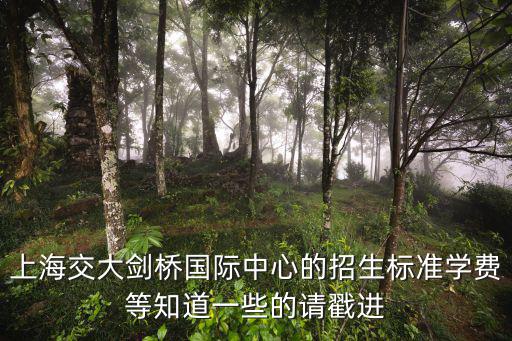 上海交大劍橋國際中心的招生標(biāo)準(zhǔn)學(xué)費(fèi)等知道一些的請(qǐng)戳進(jìn)