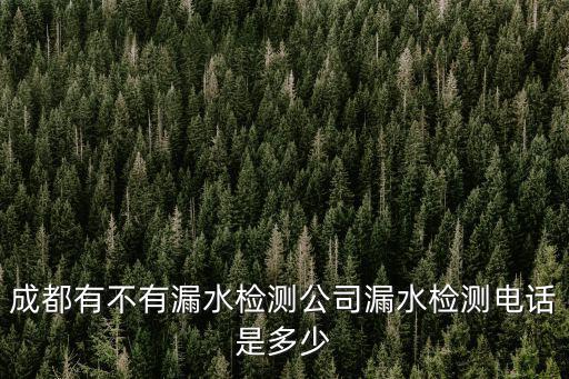 成都有不有漏水檢測公司漏水檢測電話是多少
