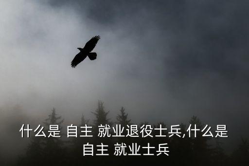 自主就業,自主就業退役士兵回國后可選擇復工享受更高生活補助