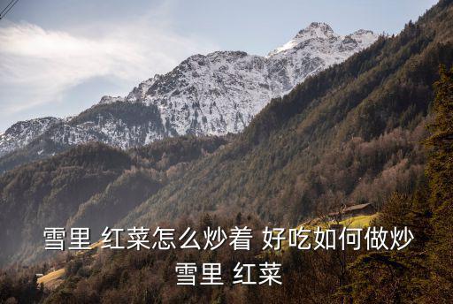 雪里紅菜怎么做好吃,秘訣:秘制錫城炸醬面包