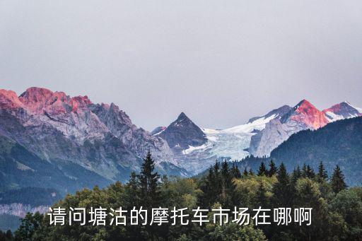 請(qǐng)問塘沽的摩托車市場在哪啊