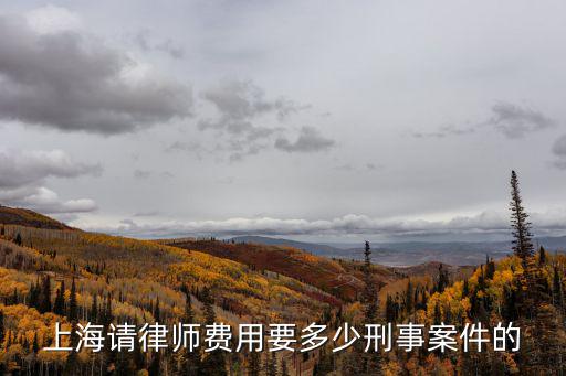 上海嘉定律師事務(wù)所收費(fèi)標(biāo)準(zhǔn)，在上海請(qǐng)個(gè)律師要多少錢
