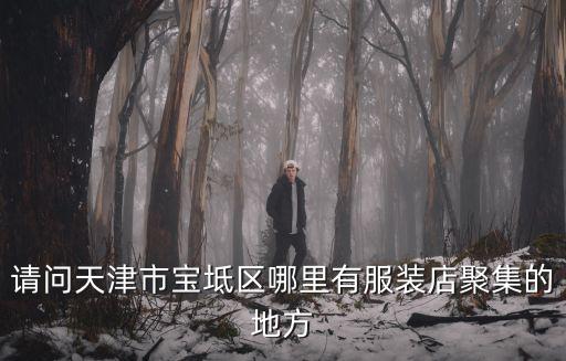 請問天津市寶坻區哪里有服裝店聚集的地方