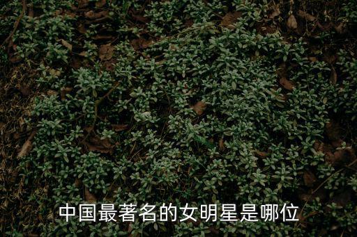 大陸女星,第一個中國女演員獲得威尼斯電影節(jié)最美人物獎