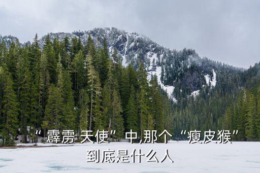 “ 霹靂 天使”中,那個(gè)“瘦皮猴”到底是什么人