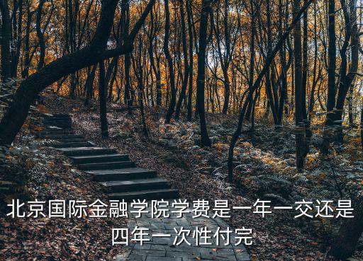 北京國際學校的費用，北京愛迪國際學校今年高中一年的學費是多少念完3年加上生活費要