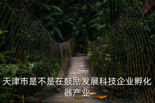 天津市是不是在鼓勵發展科技企業孵化器產業