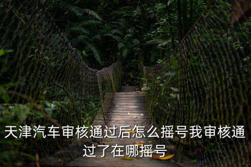 天津市小客車競價成功后的程序，天津小型車牌競拍完了該做什么