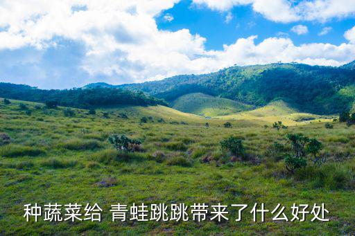 青蛙跳跳跳,選民選擇自由職業道路