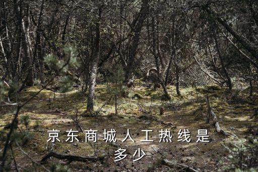 京 東 商 城 人 工 熱 線 是 多 少