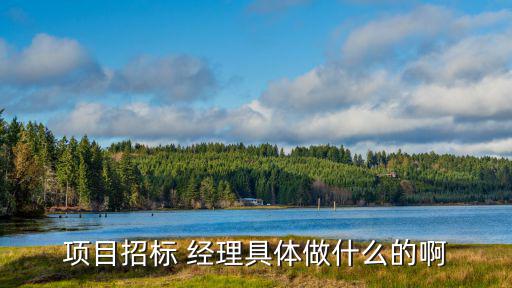 標(biāo)經(jīng)理,投標(biāo)經(jīng)理職位介紹投標(biāo)人選擇什么?