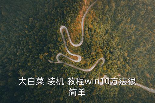 大白菜 裝機 教程win10方法很簡單