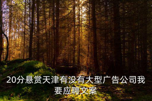 20分懸賞天津有沒有大型廣告公司我要應聘文案